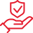icon security support